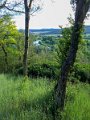 258 foto MVervoorn 2019-06-22 20.13.35